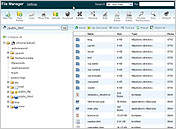 cPanel - File Manager